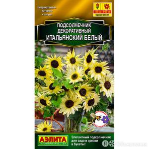 Подсолнечник декор. Итальянский белый 0,3г Одн 120см (Аэлита)