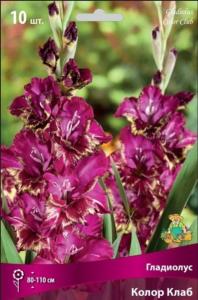 Гладиолус Колор Клаб (ярко-желтый, 10шт, 10-12)