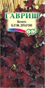 Колеус Блэк Драгон 5 шт.х Элитная клумба Н15 Гавриш Колеус Блэк Драгон 5 шт.х Элитная клумба Н15 Гавриш