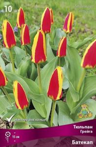 Тюльпан Грейга Батекап (красно-оранжевый с жёлтым краем, 10шт, 10-11) Тюльпан Грейга Батекап (красно-оранжевый с жёлтым краем, 10шт, 10-11)