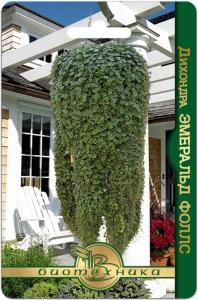 Дихондра Эсмиральд Фэлс (Биотехника)