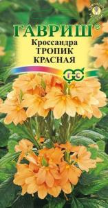 Кроссандра Тропик красная 3шт Гав