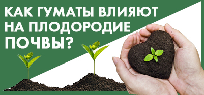 Как гуматы влияют на плодородие почвы