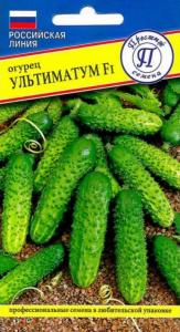 Скриншот 29-10-2024 095934 Скриншот 29-10-2024 095934