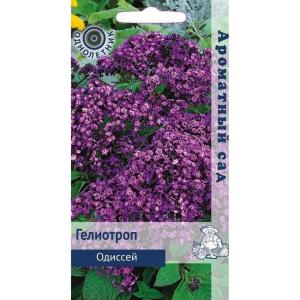 Гелиотроп Одиссей (ЦВ) (