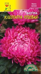 Астра Клеопатра Розовая Цвет.сад.