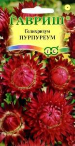 Гелихризум Пурпуреум 0,1г Сухоцвет Одн 70см (Гавриш)