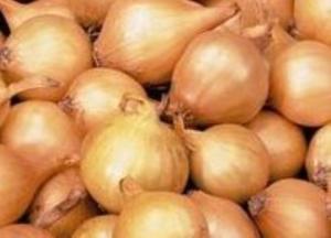 Лук-севок Свифт 10-21 ОЗИМЫЙ 20кг Чувашия Лук-севок Свифт 10-21 ОЗИМЫЙ 20кг Чувашия