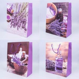 Набор пакетов подарочных 