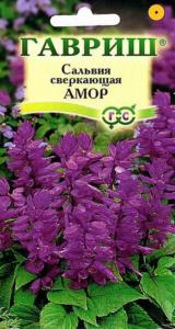 Сальвия Лавандовая Амор 5шт Гавриш