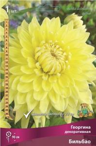 Георгина Бильбао 1шт