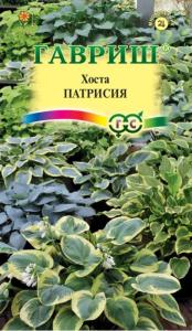 Хоста Патрисия смесь 5шт (Гавриш)