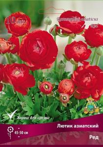 Лютик азиатский Ред 10шт (45-50 см, цветки полумахровые розовые, 7-8) Лютик азиатский Ред 10шт (45-50 см, цветки полумахровые розовые, 7-8)