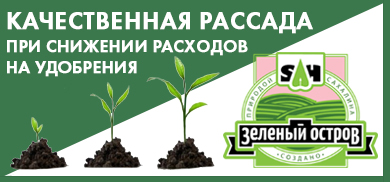 Как вырастить качественную рассаду и снизить расходы на удобрения?
