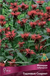 Монарда гибридная Гадэнвью Скарлет  (цветки красные, h100см, )