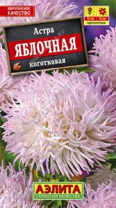 Астра Яблочная Аэл. Астра Яблочная Аэл.