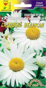 Нивяник Садовый великан, крпнцвет. Цвет.Сад