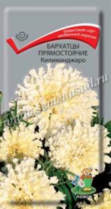 Бархатцы пр.Килиманджаро ( ЦВ) (