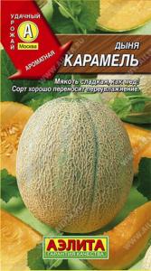 Дыня Карамель (Аэлита)