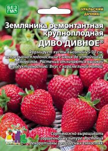 Земляника Диво дивное ремонтантная (УД)