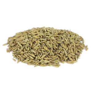 Овес 25кг-ПОДХОДИТ ДЛЯ ОСЕННЕГО ПОСЕВА-ценное кормовое растение