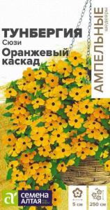Тунбергия Сюзи Оранжевый каскад крылатая 4шт Одн 250см (Сем Алт) Ампельные шедевры