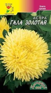 Астра Гала Золотая густом. Цвет.сад Астра Гала Золотая густом. Цвет.сад