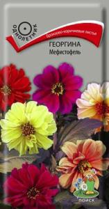 Георгина Мефистофель 0,2гр (Поиск)