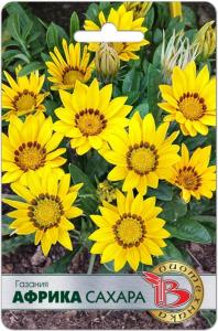 Газания Африка Сахара 7шт 20см (Биотехника) Газания Африка Сахара 7шт 20см (Биотехника)