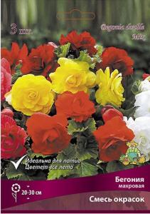 Бегония смесь Махровая окрасок 3 шт.5-6
