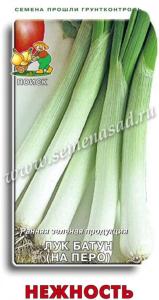 Лук батун Нежность 1г Ср (Поиск)