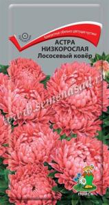 Астра Лососевый Ковер низкорослая 0,2г Одн 20см (Поиск)