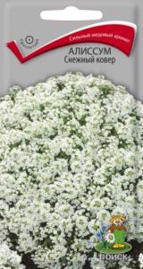 Алиссум Снежный ковер 0.3г. Поиск Алиссум Снежный ковер 0.3г. Поиск