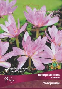 Колхикум (безвременник) Уотерлили  ОСЕННЕЦВЕТУЩИЙ 1шт. 16-+ розовый Колхикум (безвременник) Уотерлили  ОСЕННЕЦВЕТУЩИЙ 1шт. 16-+ розовый