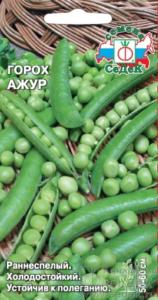 Горох Ажур (Седек)