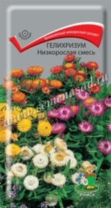 Гелихризум Низкорослая смесь 0,1г Сухоцвет Одн 30см (Поиск)