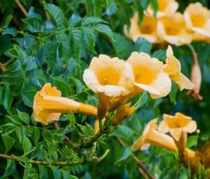 Скриншот 21-04-2026 144817