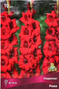 Гладиолус Рома 10шт 10-12