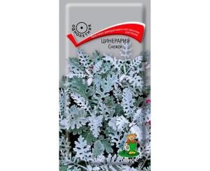 Цинерария Снежок 0,1г Поиск