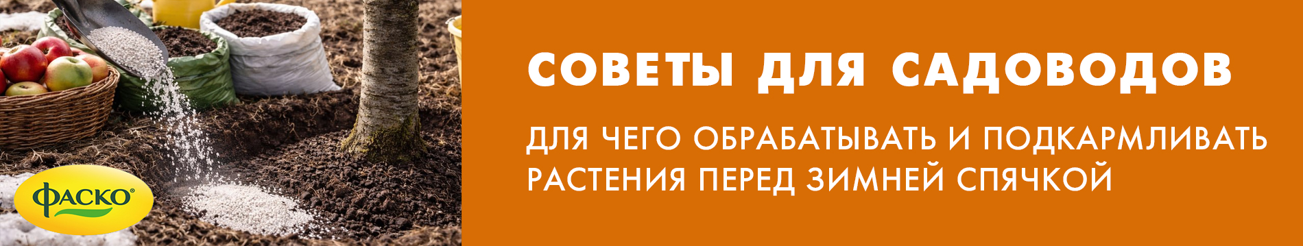 Для чего обрабатывать и подкармливать растения перед зимней спячкой