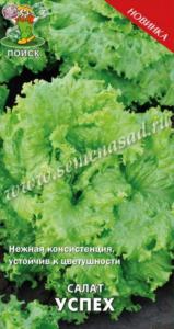 Салат Успех 1г. Поиск
