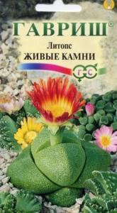 Литопс Живые камни 5шт Гавриш