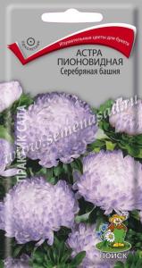 Астра пионовидная Серебряная башня (ЦВ) (