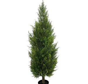 Кипарис Н150 см AL-BS-150