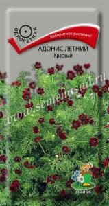 Адонис Красный летний 0,3г Одн 30см (Поиск)