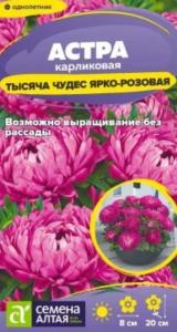 Астра Тысяча чудес карликовая Ярко-розовая 0,15г Одн 20см (Сем Алт)