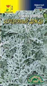 Цинерария Серебряный дождь (Цвет сад) Цинерария Серебряный дождь (Цвет сад)
