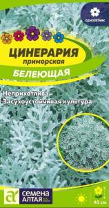 Цинерария Белеющая 0,1г (Сем Алт)