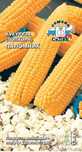 Кукуруза Паломник (поп-корн) (Седек)
