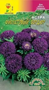Астра Бордюр Фиолетовый низкорослая 0,3г Одн 30см (Цвет сад)